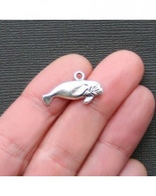 Nincs szín - 10db 24x13mm...