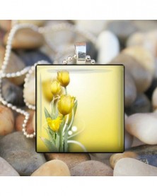 Nincs szín - Sárga tulipán...